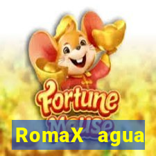 RomaX agua sanitaria fispq agua sanitaria romax